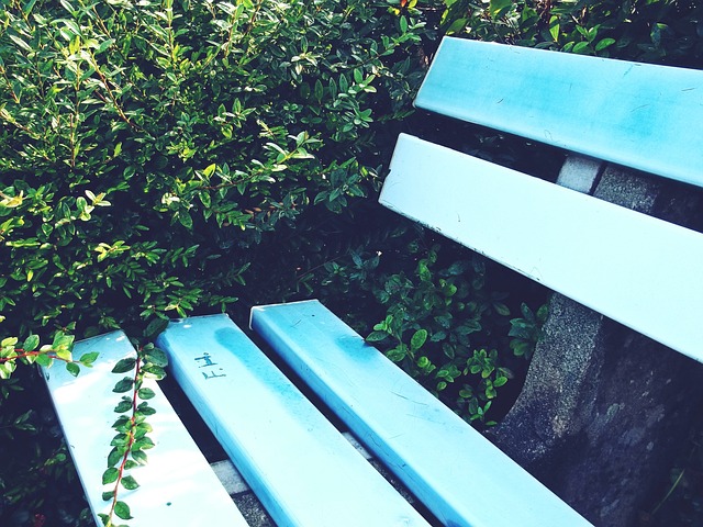 力门将诺伊 力门将诺伊