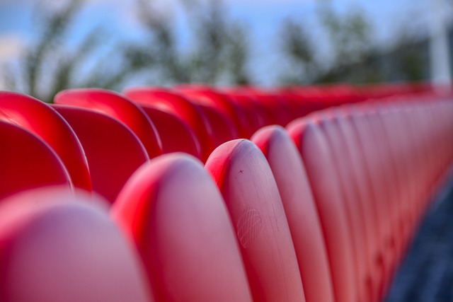 網球︱鄭欽文2024年大豐收　年終世界排名升上第五　獎金創新高.