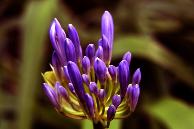 激发乡村全面振兴澎湃动能——中国经济圆桌会聚焦2025年中央一号文件.