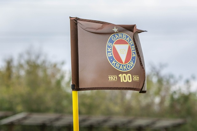 輝煌成績的 輝煌成績的