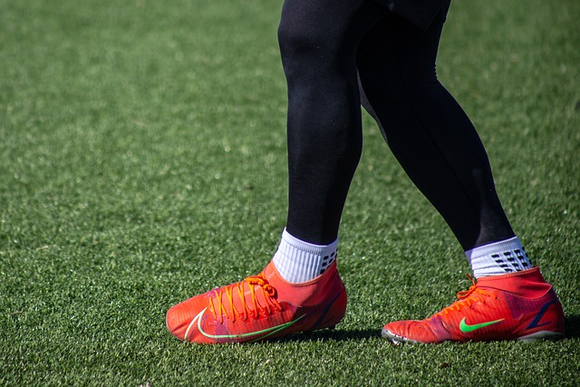 能力上毋庸 能力上毋庸